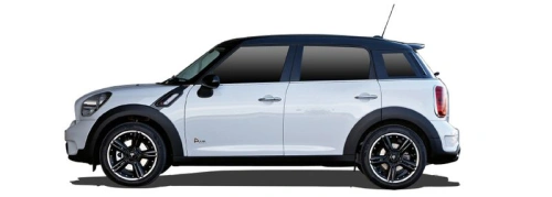 Countryman R60