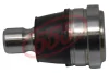 Опора кульова MAZDA Demio/2 (DE#) 07-15 (вир-во) 555 SB1802 (фото 1)