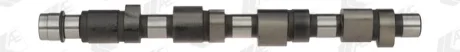 Розподільний вал FIAT 1.4 12V 95-02 чугун (вир-во) AE CAM648