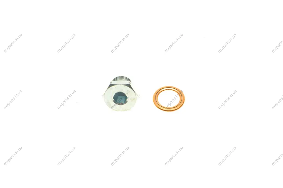 Болт зливу оливи + шайба Citroen Berlingo/Jumper/Jumpy/Peugeot Boxer/Expert/Partner 96- (M14x1.25) AIC 52880 (фото 1)