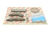 Комплект ланцюга ГРМ BMW 3 (F30)/4 (F32/F82)/5 (F10) 07- N47 D20C (зверху) 59010Set AIC 59010SET (фото 2)