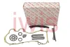 Комплект ланцюга ГРМ Fiat Doblo 1.3JTD (ланцюг, башмак, натяжник) 76068Set AIC 76068SET (фото 1)
