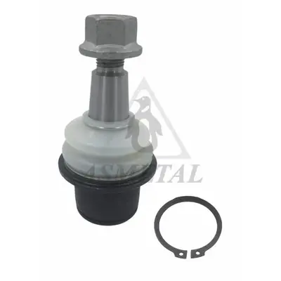 Опора кульова (передня/знизу) Land Rover Discovery/Range Rover 2.7TD-4.4 04-09 ASMETAL 10LR1910 (фото 1)