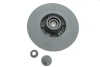 Диск гальмівний (задній) Renault Megane IV/Scenic IV 15- (з покрит.) (повний) 24.0111-0189.2 ATE 24-0111-0189-2 (фото 1)