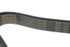 Ремінь генератора MB Truck Atego (8PK1480) (9935) 908 1480 AUTOTECHTEILE 908-1480 (фото 3)
