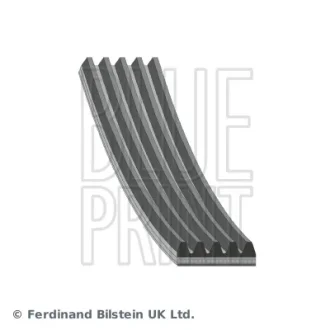 Ремінь генератора Opel Omega B 2.5DTI 01-03/Land Rover Range Rover 3.0D 02-12 (5PK2020) BLUE PRINT AD05R2020