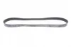 Ремінь генератора Citroen Berlingo/VW Golf III 1.4-2.0i 91-/ Ford Fiesta/ Focus 1.4-1.6 TDCi 03- BLUE PRINT AD06R975 (фото 3)