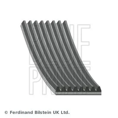Ремінь генератора Jeep Grand Cherokee II 3.1TD 99-01 BLUE PRINT AD08R2485 (фото 1)