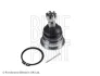 Опора кульова (передня/зверху) Nissan Navara/Pick Up 2.5dCi/D 97- BLUE PRINT ADN186126 (фото 1)