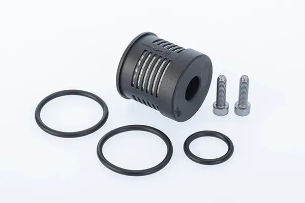 Фільтр масляний диференціал Volvo S60 2.4/2.5 01-10 (к-кт) BORGWARNER BorgWarner DS108190 (фото 1)