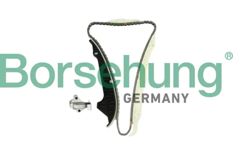 Комплект ланцюга ГРМ VW T5/T6/Golf VI/VII 2.0GTI/TSI 11- (OE VAG) BORSEHUNG Borsehung B10203