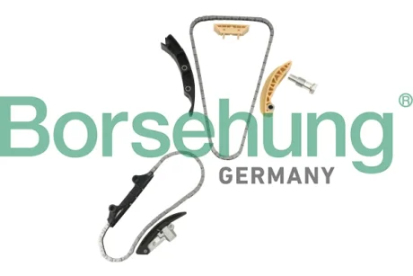 Комплект ланцюга ГРМ VW Golf/Passat/T5/Touareg 3.6FSI/3.2 02-16 (OE VAG) BORSEHUNG Borsehung B10207
