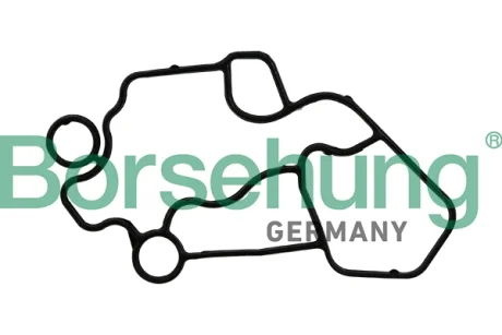 Прокладка корпуса фільтра масляного Audi A4/A6 2.0TFSI/VW Golf V 2.0 06- BORSEHUNG Borsehung B10622