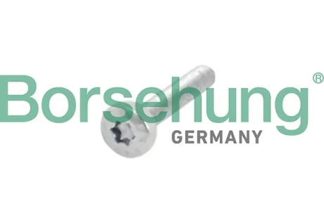 Болт ГРМ Audi A3 03-/VW Golf 1.4-1.6 TSI/TFSI 03- BORSEHUNG Borsehung B10634