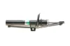 Амортизатор (передній) VW Golf 04-13/Skoda Octavia 04-13 BORSEHUNG Borsehung B12137 (фото 7)