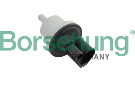 Клапан вентиляції картера VW Golf V/Passat 2.0 FSI 04-10 BORSEHUNG Borsehung B12188