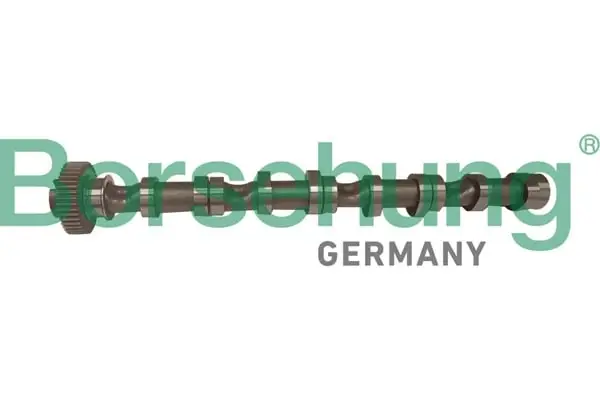 Розподільний вал VW Caddy III/IV/ T5/T6/ Crafter 30-50 2.0 TDI 10- (сторона впуска) BORSEHUNG Borsehung B12522 (фото 1)