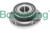 Підшипник маточини (задня) Skoda Rapid/Roomster 07- (OE VAG) BORSEHUNG Borsehung B15624 (фото 1)