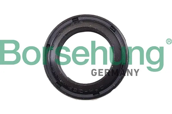 Сальник штока куліси КПП VW Caddy 1.5-1.8 82-04 BORSEHUNG Borsehung B17833 (фото 1)