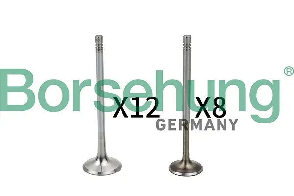 Клапан (впуск/випуск) Audi A4/A6/Skoda Octavia/Superb/VW Golf/Passat 1.8-3.0 -10 (к-кт) (OE VAG) BORSEHUNG Borsehung B18635 (фото 1)