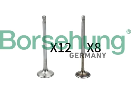 Клапан (впуск/випуск) Audi A4/A6/Skoda Octavia/Superb/VW Golf/Passat 1.8-3.0 -10 (к-кт) (OE VAG) BORSEHUNG Borsehung B18635