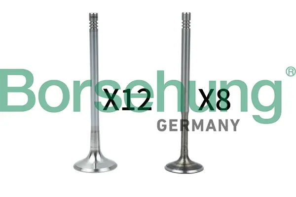 Клапан (впуск/випуск) Audi A4/A6/Skoda Octavia/Superb/VW Golf/Passat 1.8-3.0 -10 (к-кт) (OE VAG) BORSEHUNG Borsehung B18636 (фото 1)