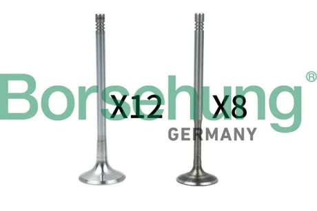 Клапан (впуск/випуск) Audi A4/A6/Skoda Octavia/Superb/VW Golf/Passat 1.8-3.0 -10 (к-кт) (OE VAG) BORSEHUNG Borsehung B18636