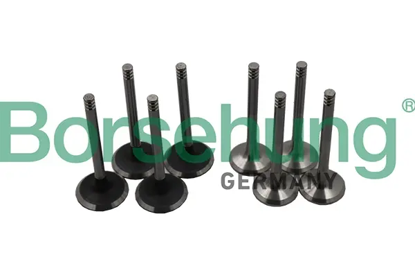Клапан (впуск/випуск) VW T5 1.9/2.5TDI (к-кт) (OE VAG) BORSEHUNG Borsehung B18640 (фото 1)