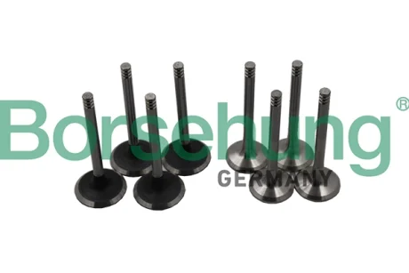 Клапан (впуск/випуск) VW T5 1.9/2.5TDI (к-кт) (OE VAG) BORSEHUNG Borsehung B18640