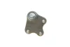 Опора кульова (передня/R) VW Polo/Skoda Fabia 1.0-2.0 99- BORSEHUNG Borsehung B18694 (фото 5)