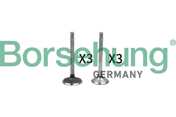 Клапан (впуск/випуск) VW Caddy 1.4TDI 03- (к-кт 6шт.) (OE VAG) BORSEHUNG Borsehung B18765 (фото 1)