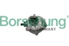 Насос вакуумний Audi A4/A6/A8 04-10 (OE VAG) BORSEHUNG Borsehung B18772 (фото 1)