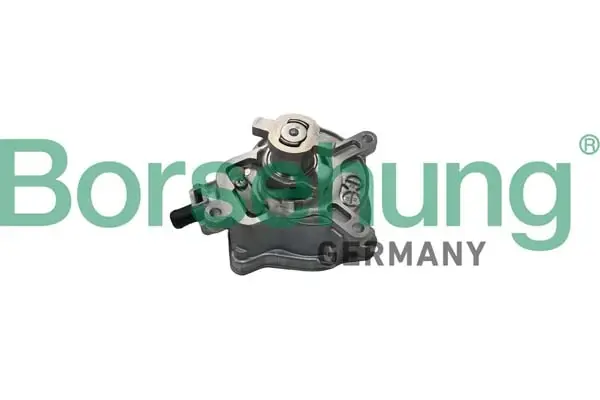 Насос вакуумний VW Jetta 2.5 06-/Audi TT 2.5RS 09-14 (OE VAG) BORSEHUNG Borsehung B18774 (фото 1)