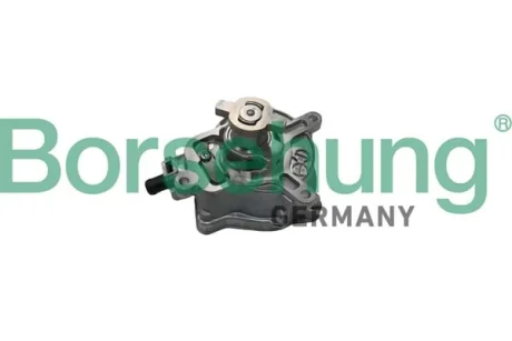 Насос вакуумний VW Jetta 2.5 06-/Audi TT 2.5RS 09-14 (OE VAG) BORSEHUNG Borsehung B18774