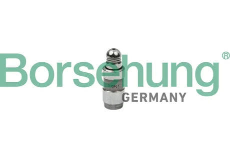 Гідрокомпенсатор VW T5 2.0TDI/Caddy 1.6/2.0TDI (OE VAG) BORSEHUNG Borsehung B18826