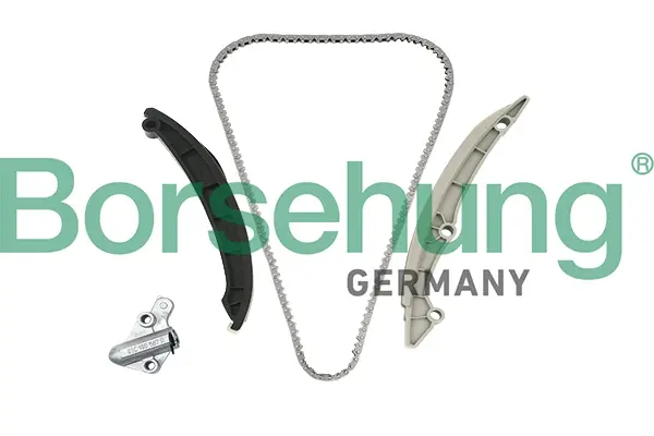 Комплект ланцюга ГРМ VW Golf V/VI/Passat 1.4TSI 07-14 (OE VAG) BORSEHUNG Borsehung B18982 (фото 1)
