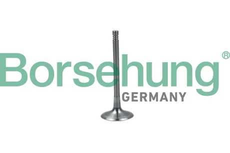 Клапан (впуск) Audi A4/A6/VW Golf V/VII 1.8TSI-4.2FSI 02- (OE VAG) BORSEHUNG Borsehung B19024
