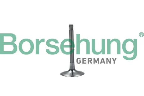 Клапан (впуск) Audi A4/A6/VW Passat 2.0FSI 05-10 (OE VAG) BORSEHUNG Borsehung B19028
