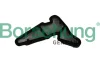 Фільтр помпи оливної Audi A4/A6/A8/Q3/Q5/VW Golf VI/Passat 1.8/2.0 TFSI 08-17 (OE VAG) BORSEHUNG Borsehung B19034 (фото 1)