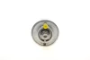 Фільтр паливний BMW 5 (E39)/7 (E38)/X5 (E53) 2.2-4.6 96-10 0 450 905 960 BOSCH 0-450-905-960 (фото 2)