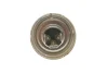 Автолампа R2 12V 45/40W P45t Pure Light 1 987 302 021 BOSCH 1-987-302-021 (фото 3)