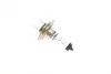 Автолампа H7 12V 55W PX26d Xenon Blue 1 987 302 075 BOSCH 1-987-302-075 (фото 2)