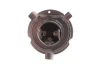 Автолампа H19 12V 60/55W PU43t-3 Pure Light WS 1 987 302 092 BOSCH 1-987-302-092 (фото 3)