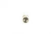 Автолампа P21/5W 12V 21/5W BAY15d Longlife Daytime WS 1 987 302 282 BOSCH 1-987-302-282 (фото 3)