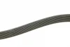 Ремінь генератора MB Citan 12- (6PK1195) 1 987 945 704 BOSCH 1-987-945-704 (фото 3)