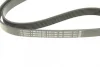 Ремінь генератора MB Citan 12- (6PK1195) 1 987 945 704 BOSCH 1-987-945-704 (фото 5)