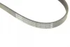 Ремінь генератора Ford Focus 2.5 ST 05-12/Mitsubishi Lancer 1.5/1.6 08- (5PK895) 1 987 945 715 BOSCH 1-987-945-715 (фото 5)