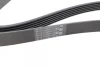 Ремінь генератора Ford Transit Connect/Focus/Fiesta 1.0 EcoBoost 13- (6PK1502) 1 987 945 727 BOSCH 1-987-945-727 (фото 2)