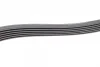 Ремінь генератора Ford Transit Connect/Focus/Fiesta 1.0 EcoBoost 13- (6PK1502) 1 987 945 727 BOSCH 1-987-945-727 (фото 4)