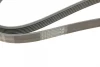 Ремень генератора Peugeot 206/Partner/Citroen Berlingo 1.1-1.6 02-/VW Fox/Polo 1.2 02-14 (6PK1453) 1 987 945 728 BOSCH 1-987-945-728 (фото 4)